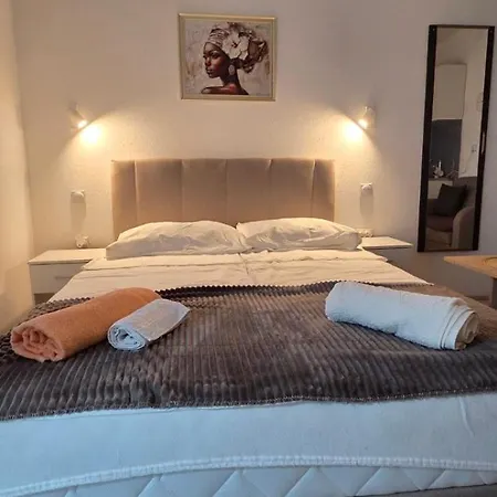 Trajkovic * 弗拉涅