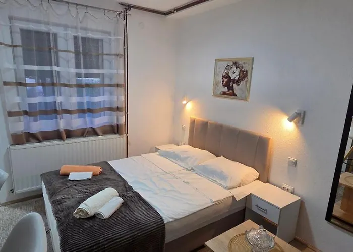 شقة Trajkovic فرانيي